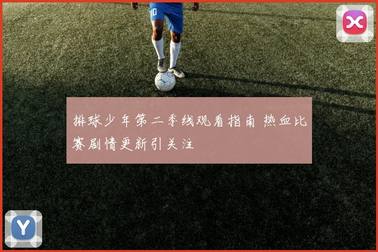 排球少年第二季线观看指南 热血比赛剧情更新引关注